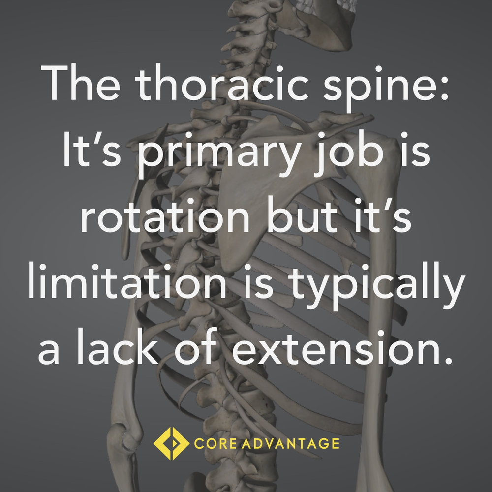 Thoracic spine