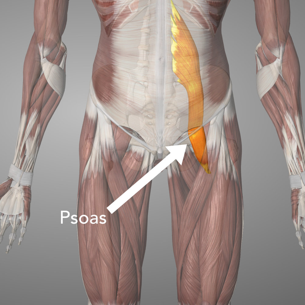 To release the psoas move the ball inside the hip bones and relax the hips flat to the ground, try and relax as best as possible