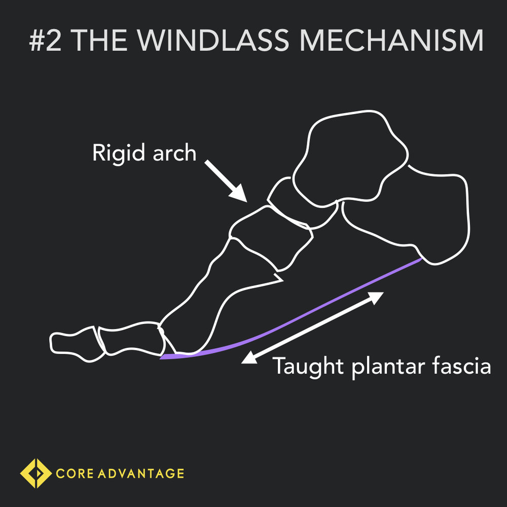 #2 The Windlass Mechanism