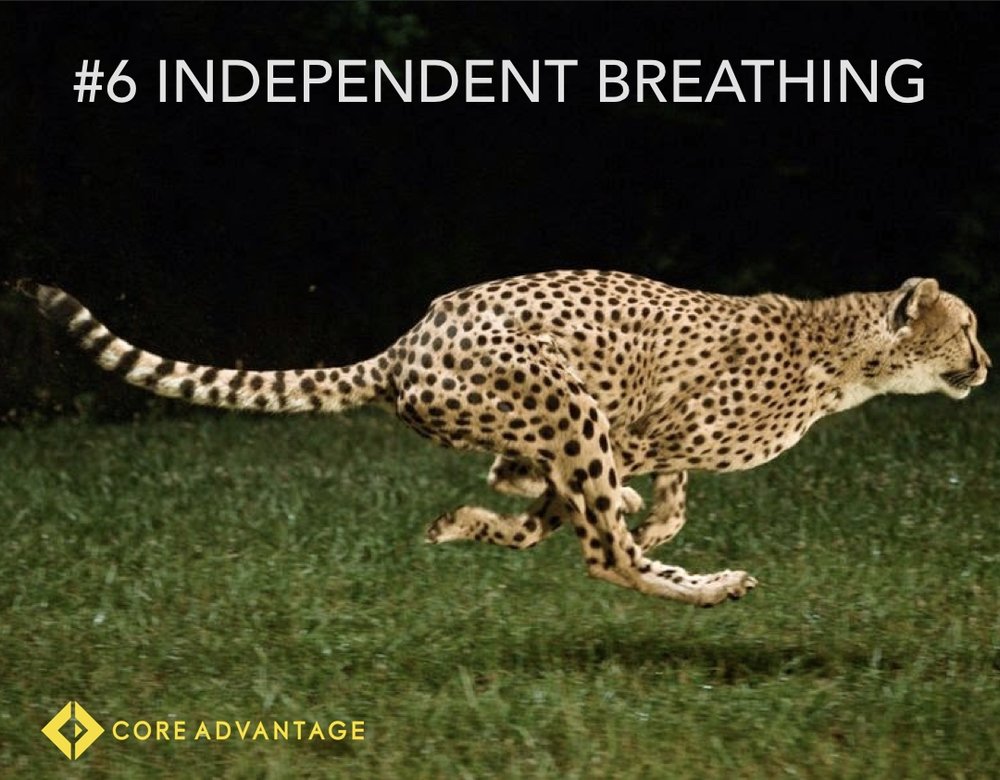 #6 Independent Breathing
