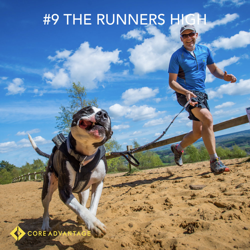 #9 The Runners high