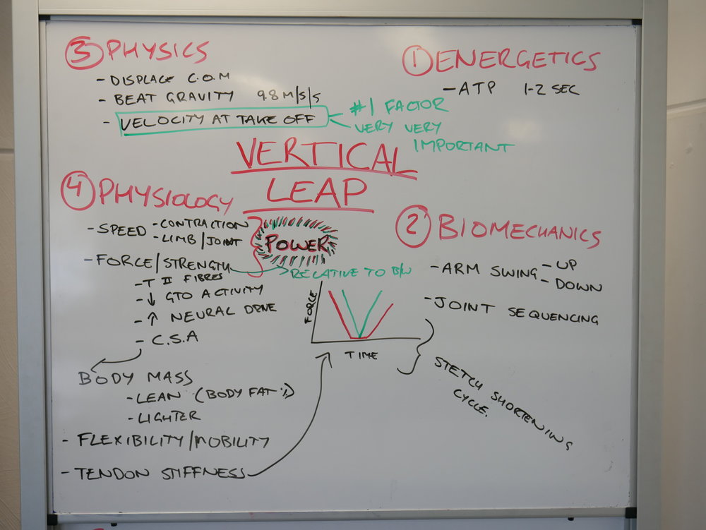 P1020418.jpg