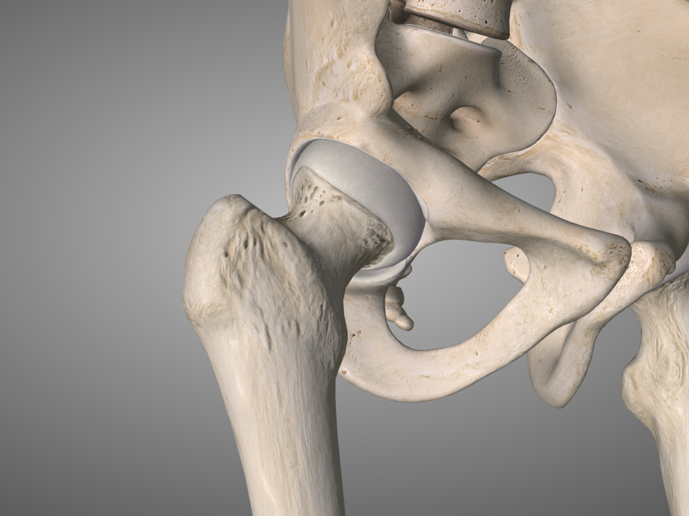 The hip. Snug, tight and not going anywhere