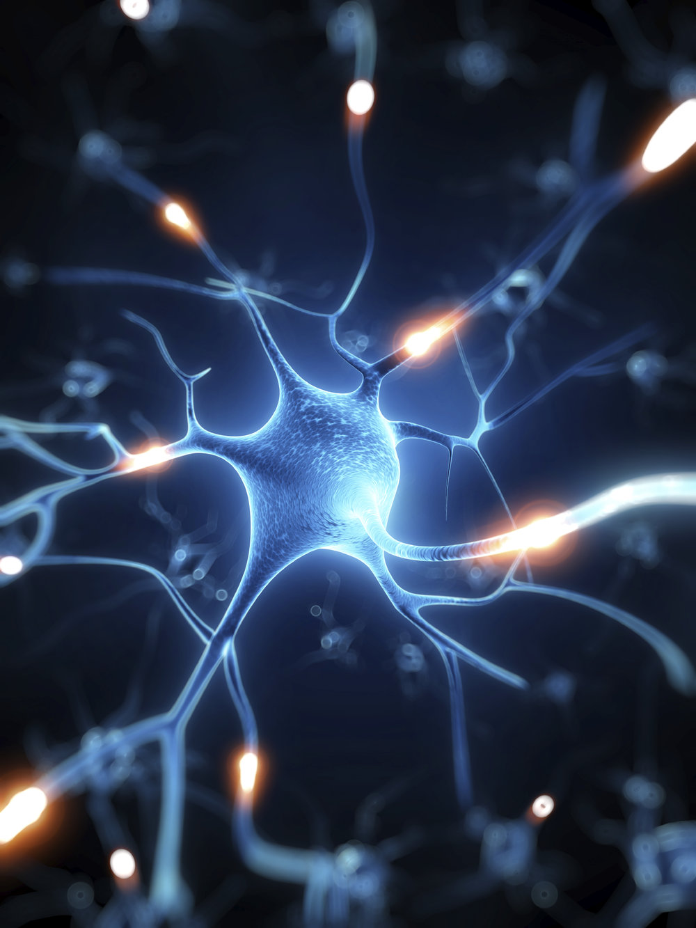 The nervous system drives everything, so when does it get its rest day?