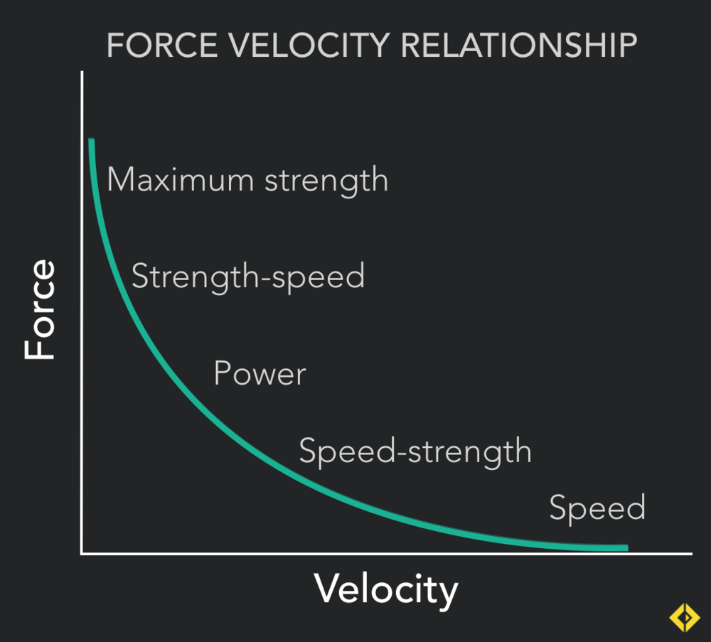 "Surfing the Curve" - Training should work all movement velocities for all round athletic development