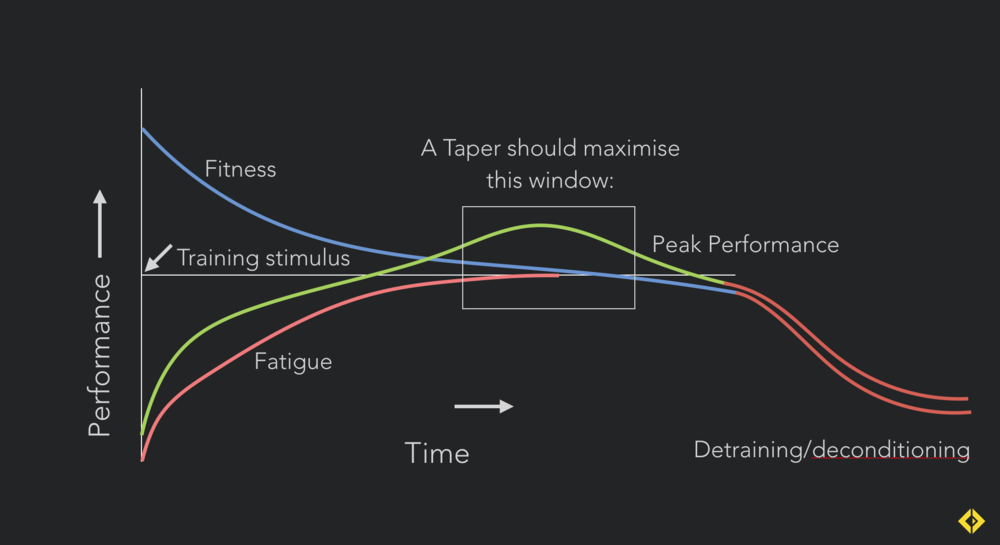 Fatigue masks fitness: When tapering, your window of peak performance occurs when fatigue dissipates faster than fitness.