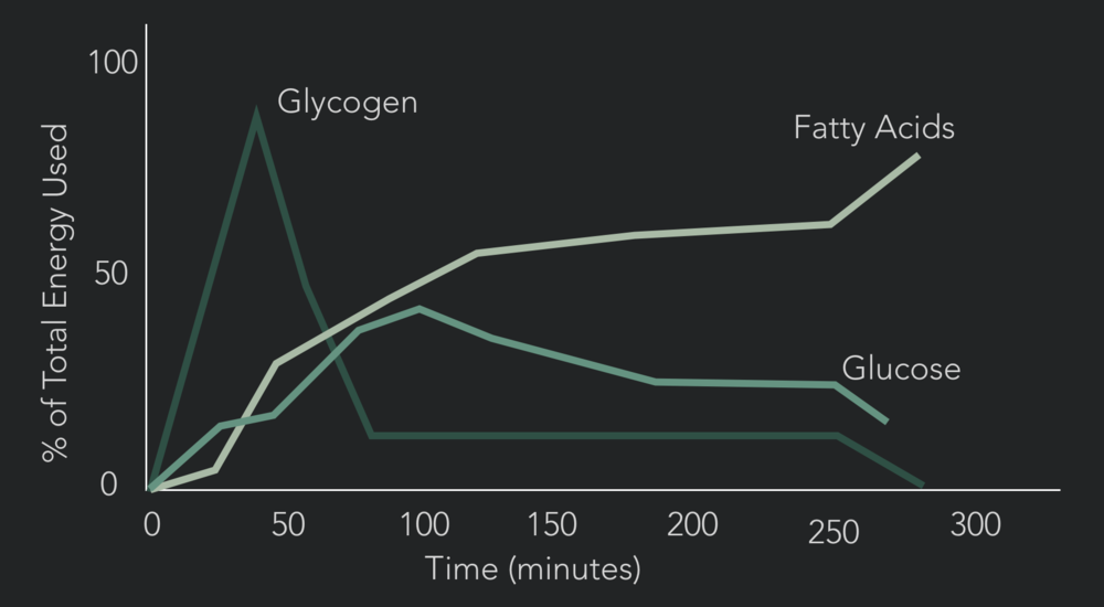 Glycogen is a finite resource, run out and high powered explosive work becomes very very hard to do.