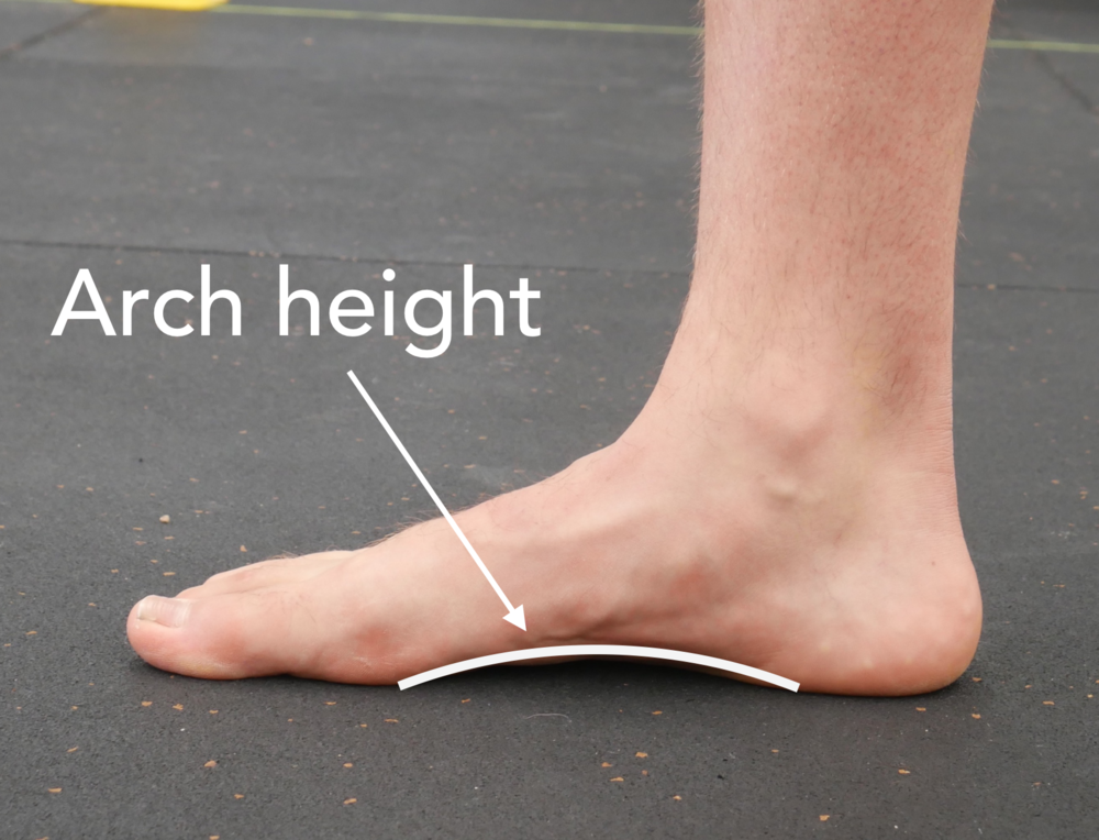 Medial view