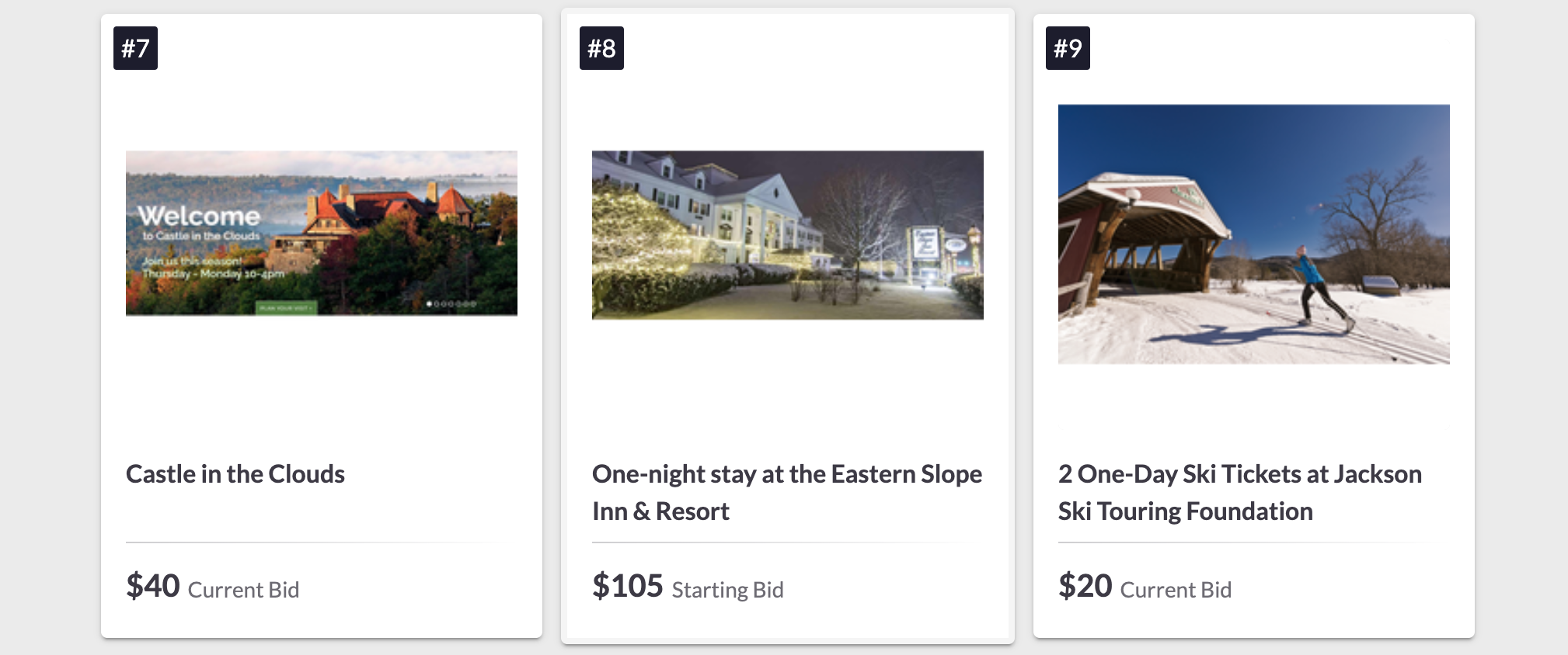 Adventure and Holiday Themed Silent Auction! | Activities