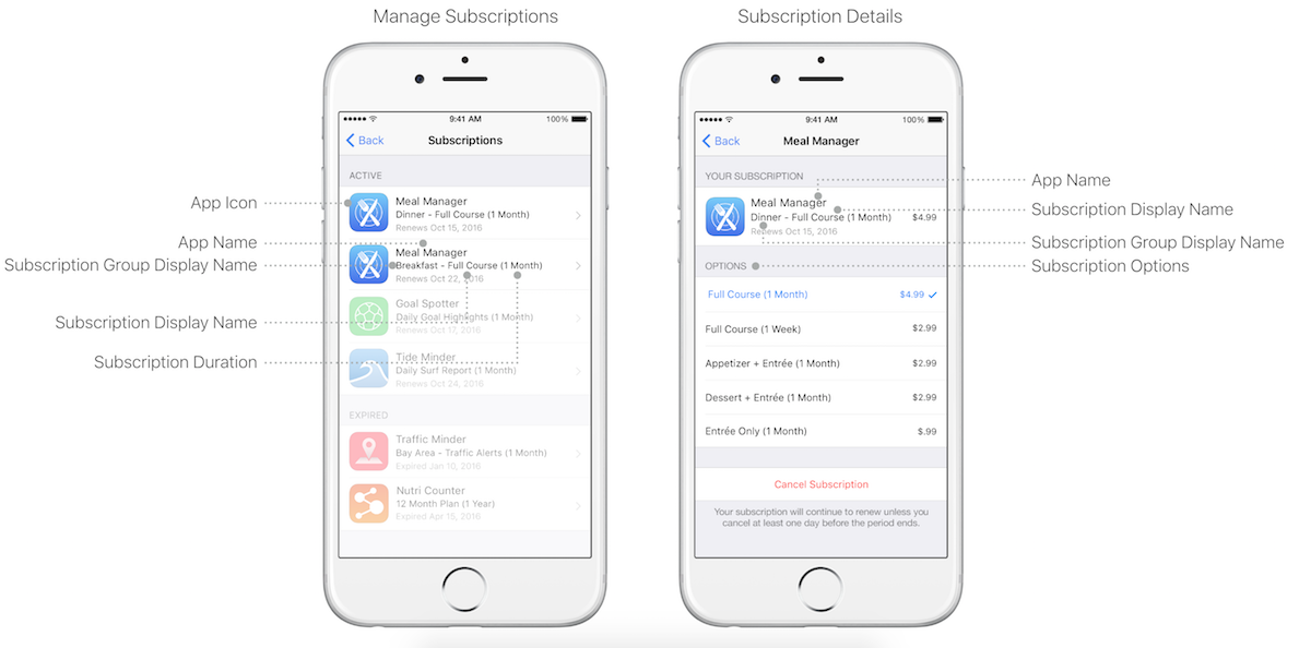 ios subscription groups explained
