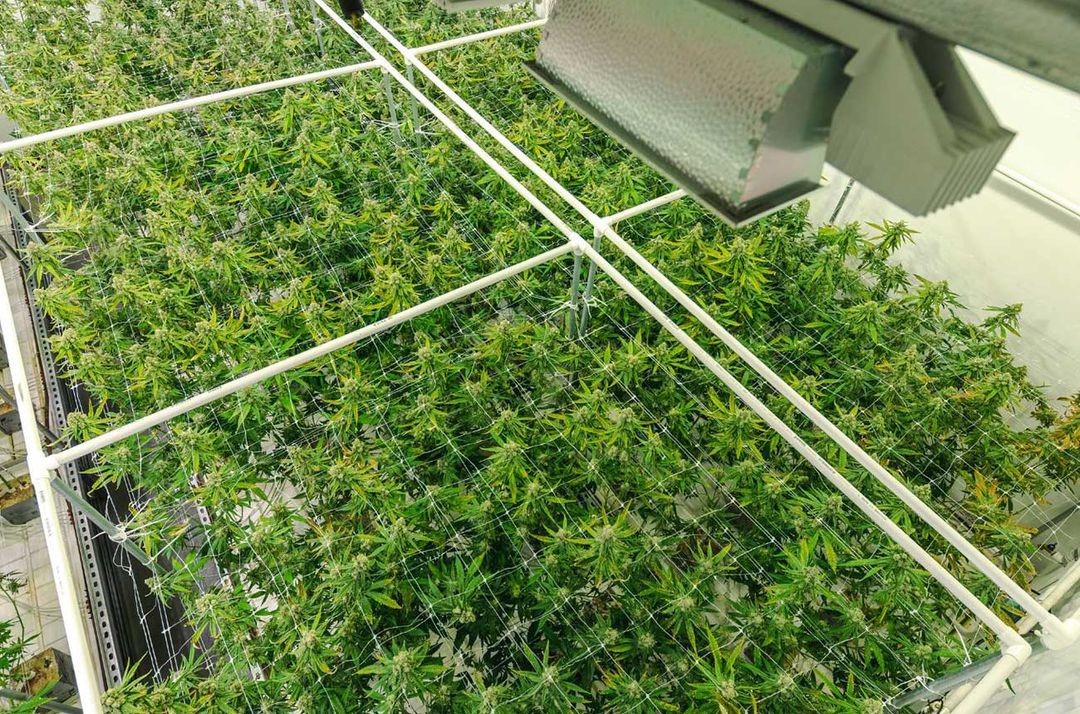 Pizzano Contractors General Contractors & Property Services