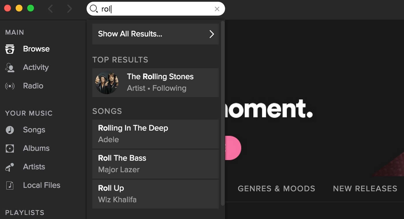 spotify site search web optimisation