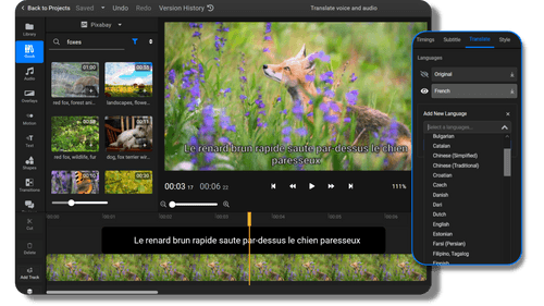 Accurate audio translator