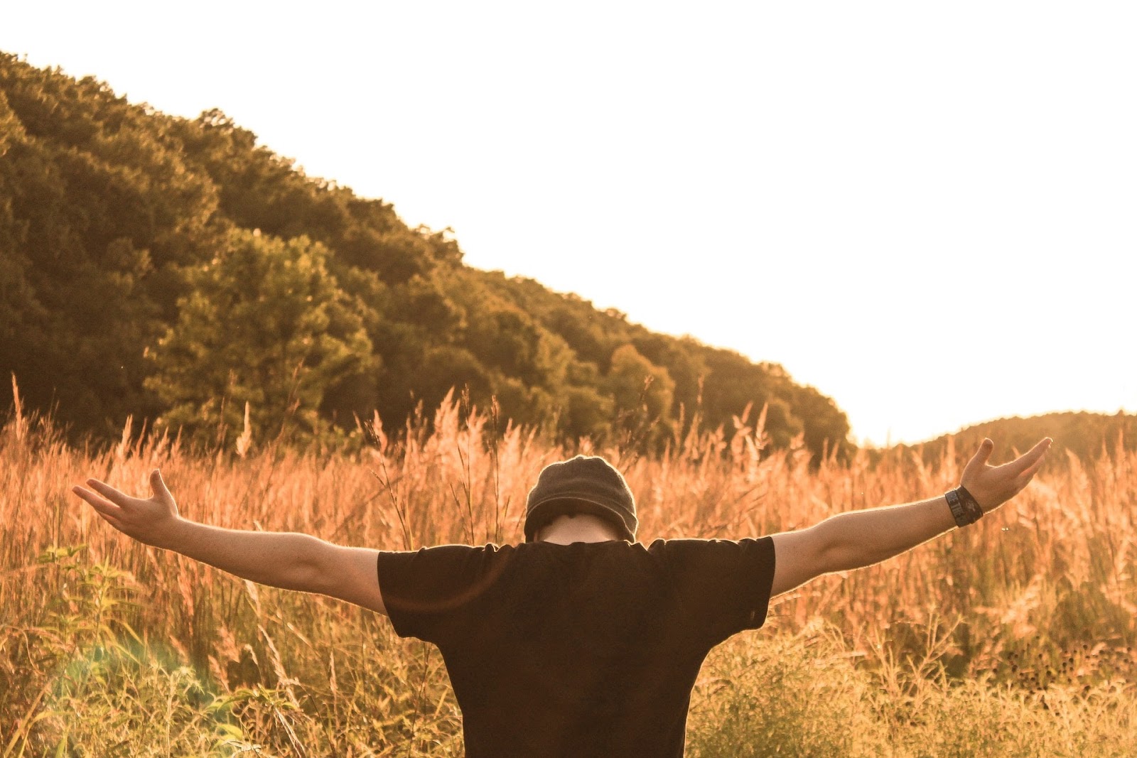Who Betrayed Jesus And Why? Jesus’s Betrayal Explained | Pray.com