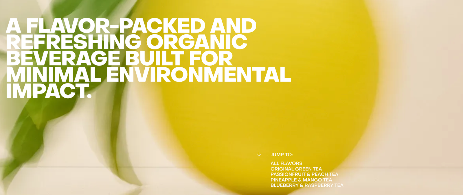 41 Best eCommerce & Shopify Collection Page Examples (2024)