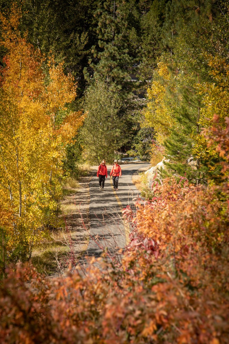 7 Easy Truckee Hikes To Take In Lake Tahoe Fall Colors