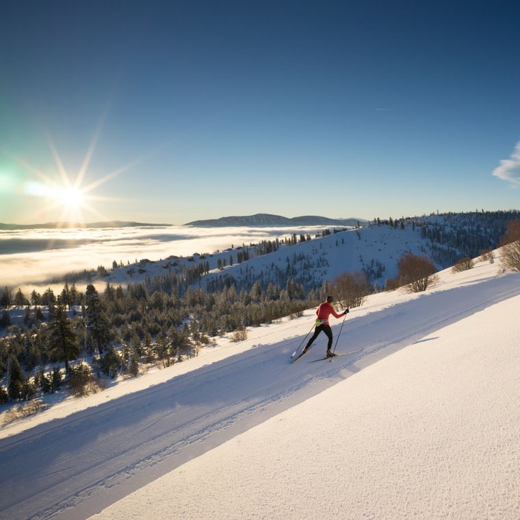 Cross Country Skiing In Tahoe Truckee and Snowshoeing