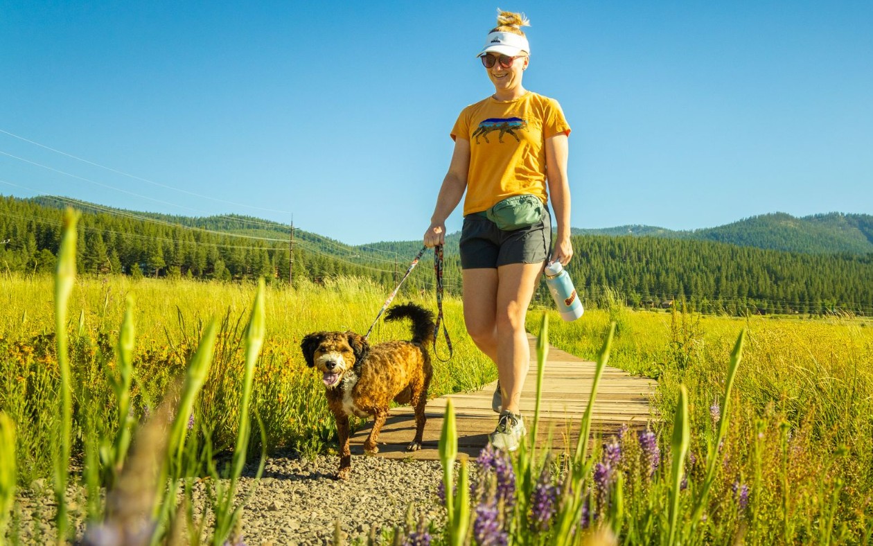 It's A Dog's World In DogFriendly Truckee