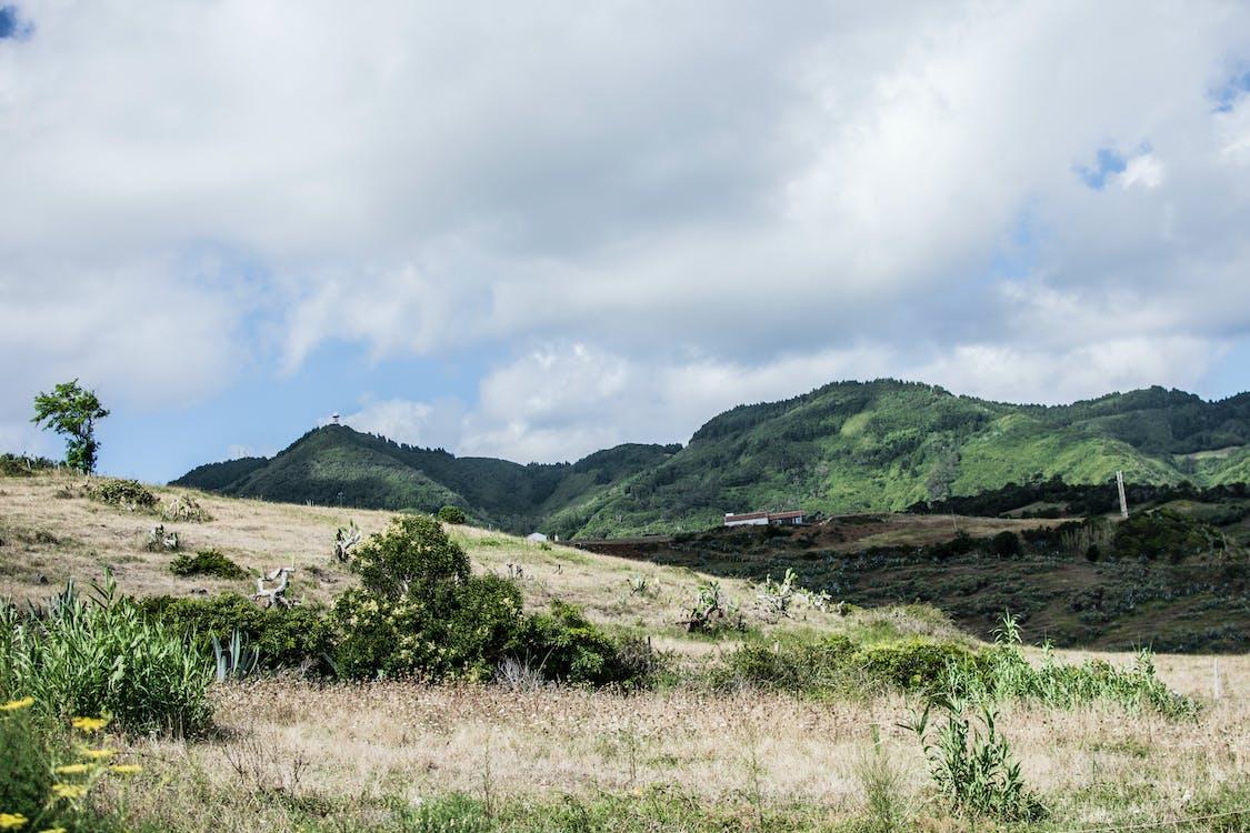 Why We Love Buying Pennsylvania Land in Cash