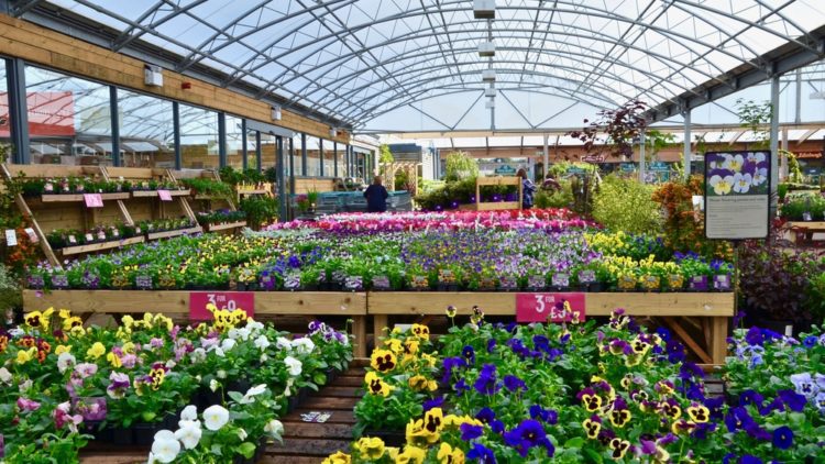 Tuincentrum Dealers