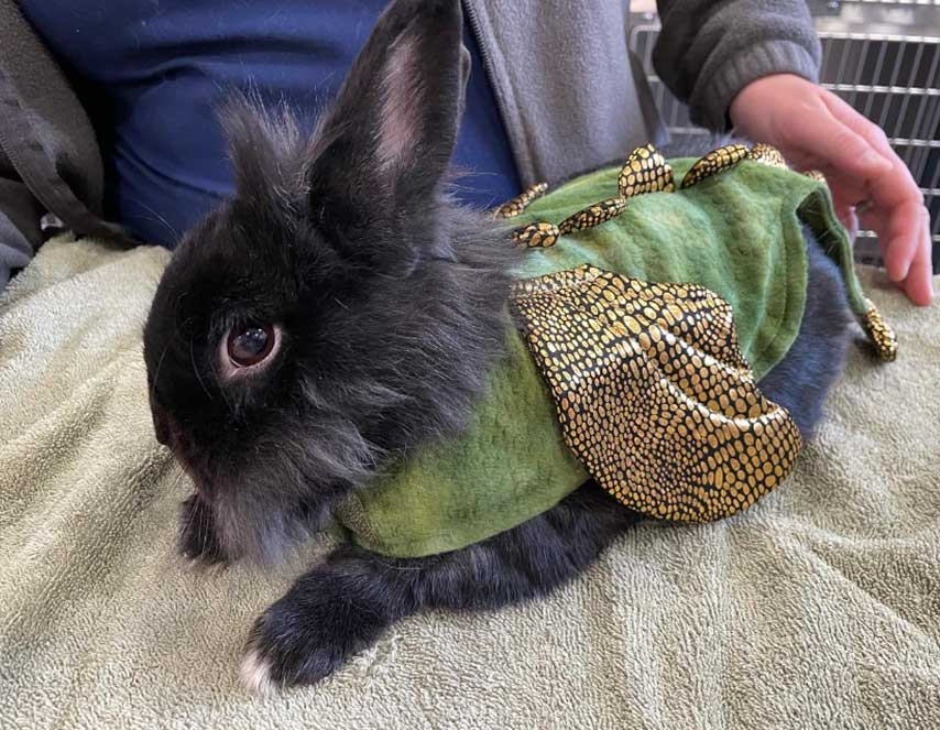 Sweetwater Veterinary Hospital