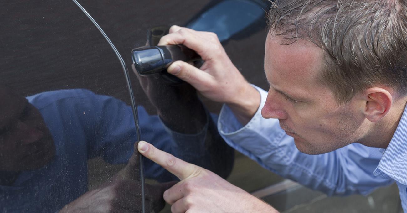 How to Prevent Dog Scratching Car Door