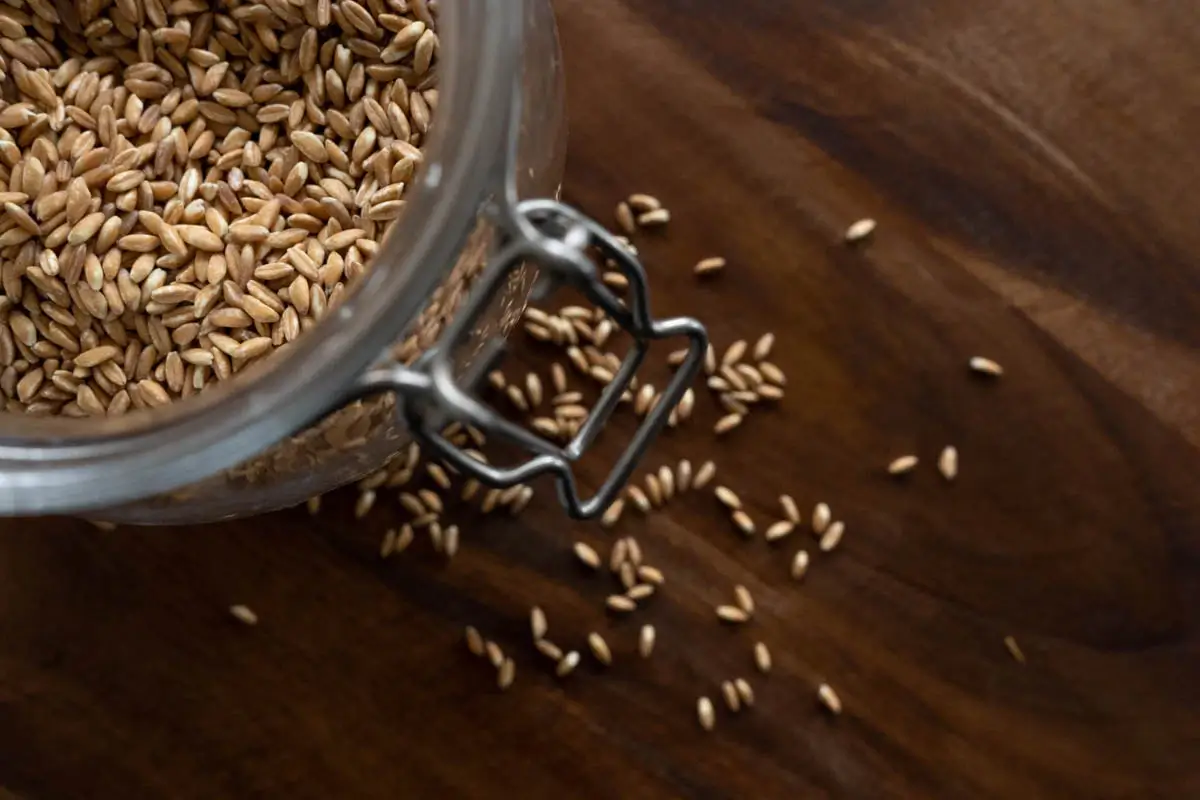 Creamy Parmesan Farrotto with Mushrooms (Farro Risotto)