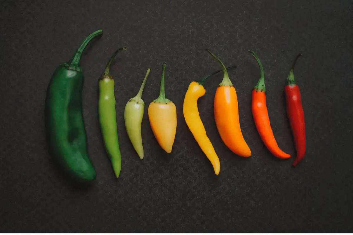 Differences of Jalapeño vs Fresno Peppers vs Green Chilis