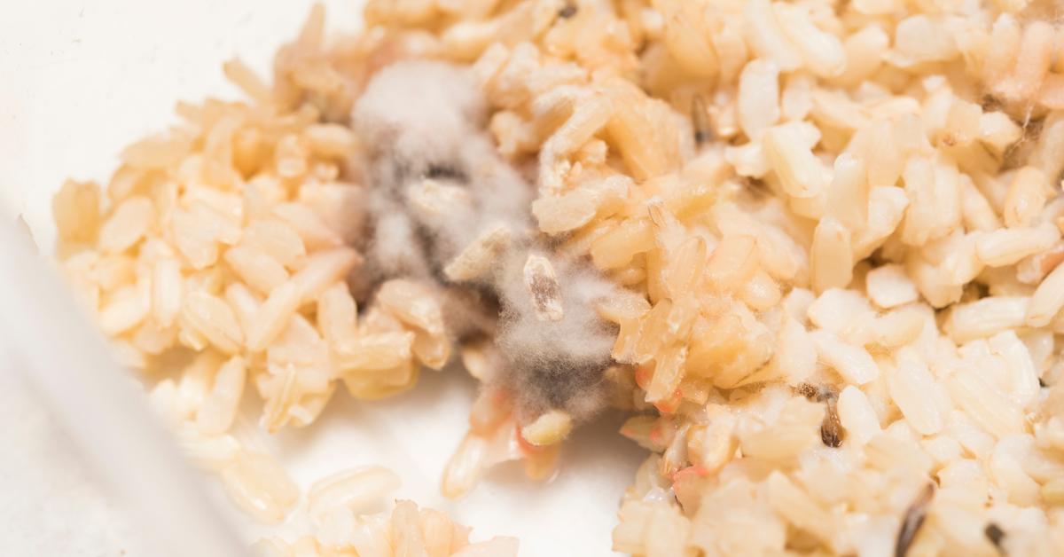 Rice Botulism What It Is & How To Protect Against It Build a Stash