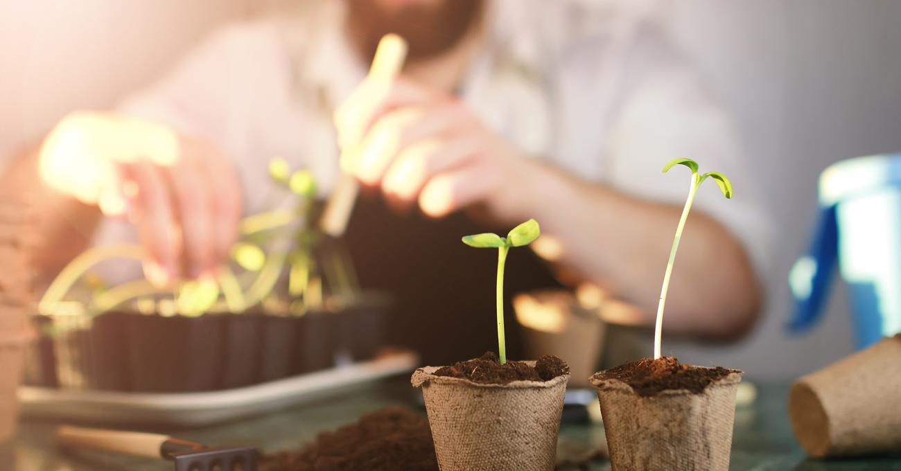 Can You Grow Plants On A Boat? LakeWizard
