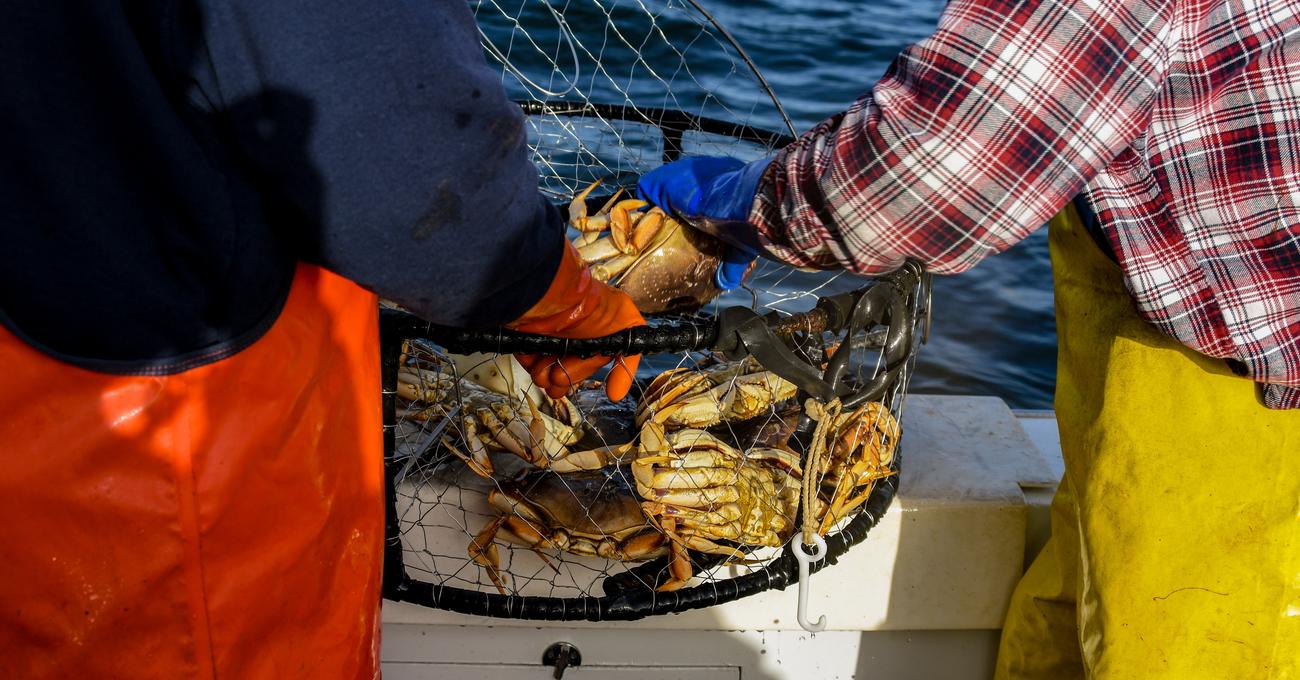 Best Boats For Crabbing LakeWizard