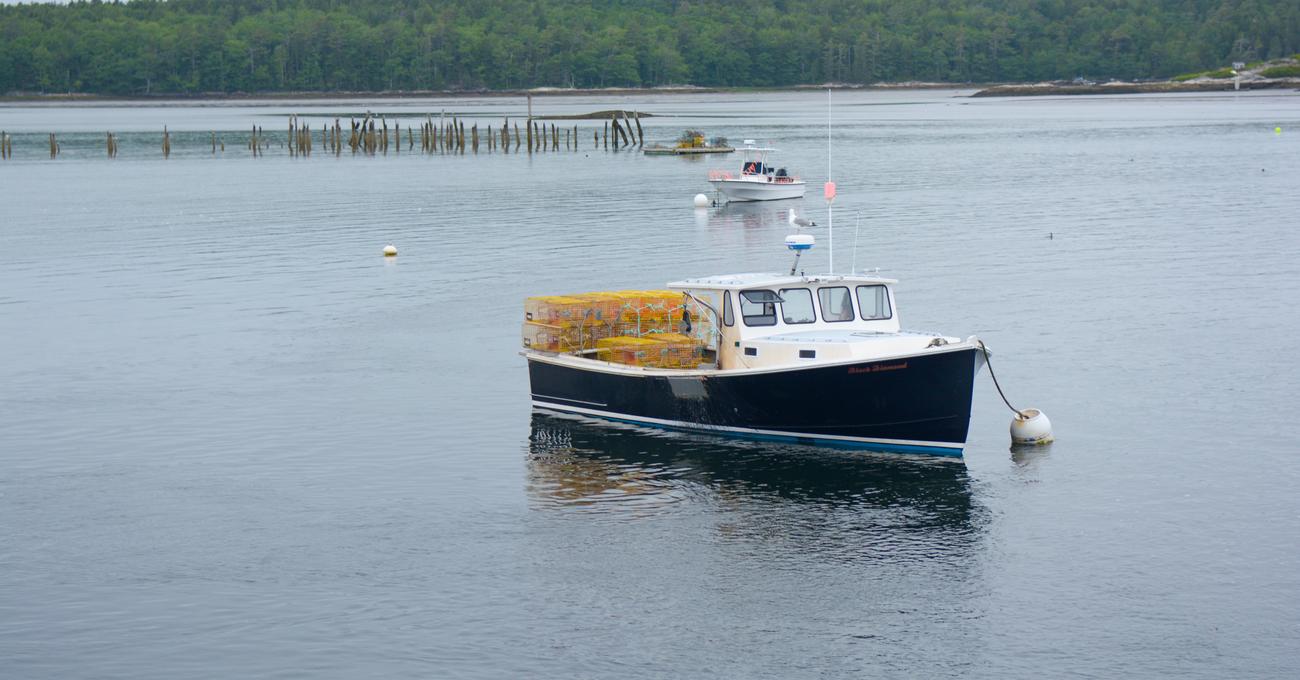 Ultimate Guide to Typical Crab Boat Layouts and Floorplans