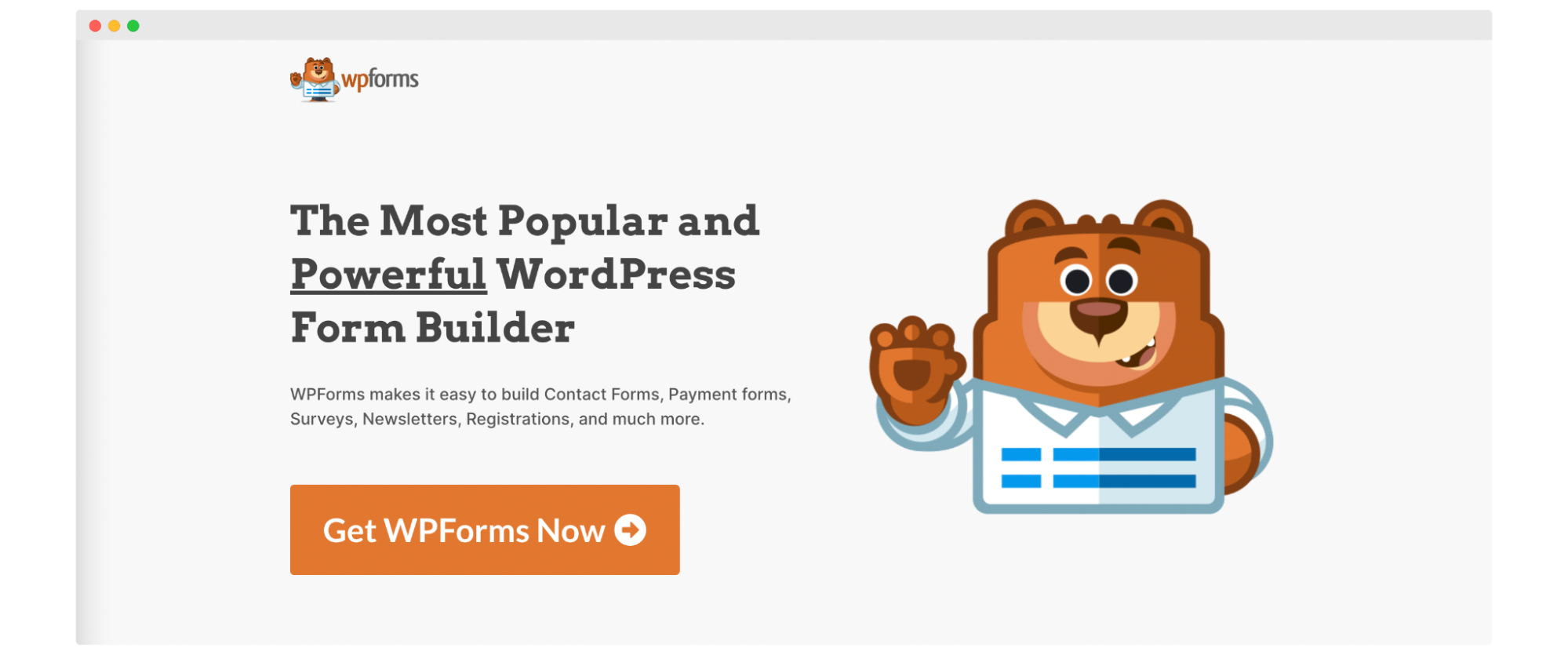 Google Forms Alternatives - WPForms