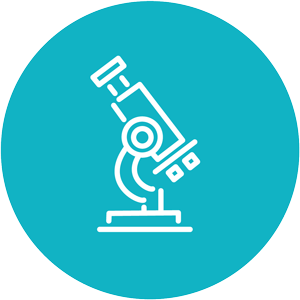 Virtual Rotations | Experience the U.S. Healthcare System from the ...