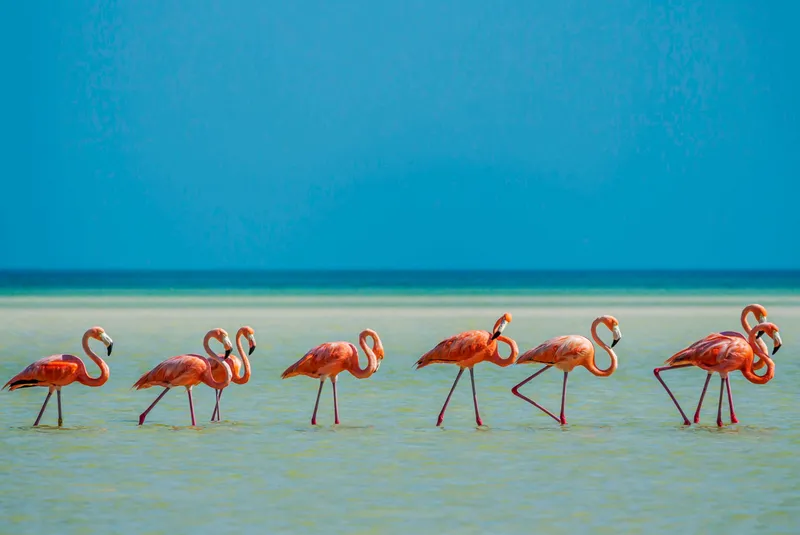 holbox-mexique-15-choses-faire-absolument