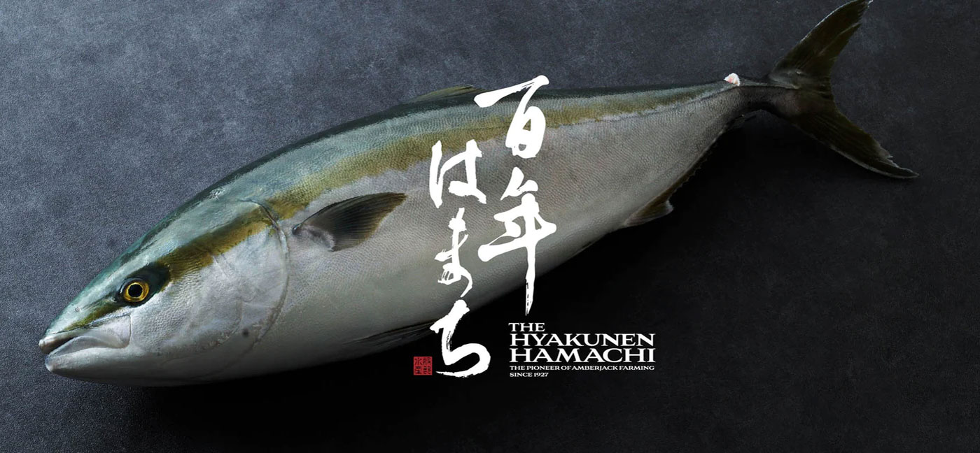 「四国新聞」に「百年はまち」が掲載されました。