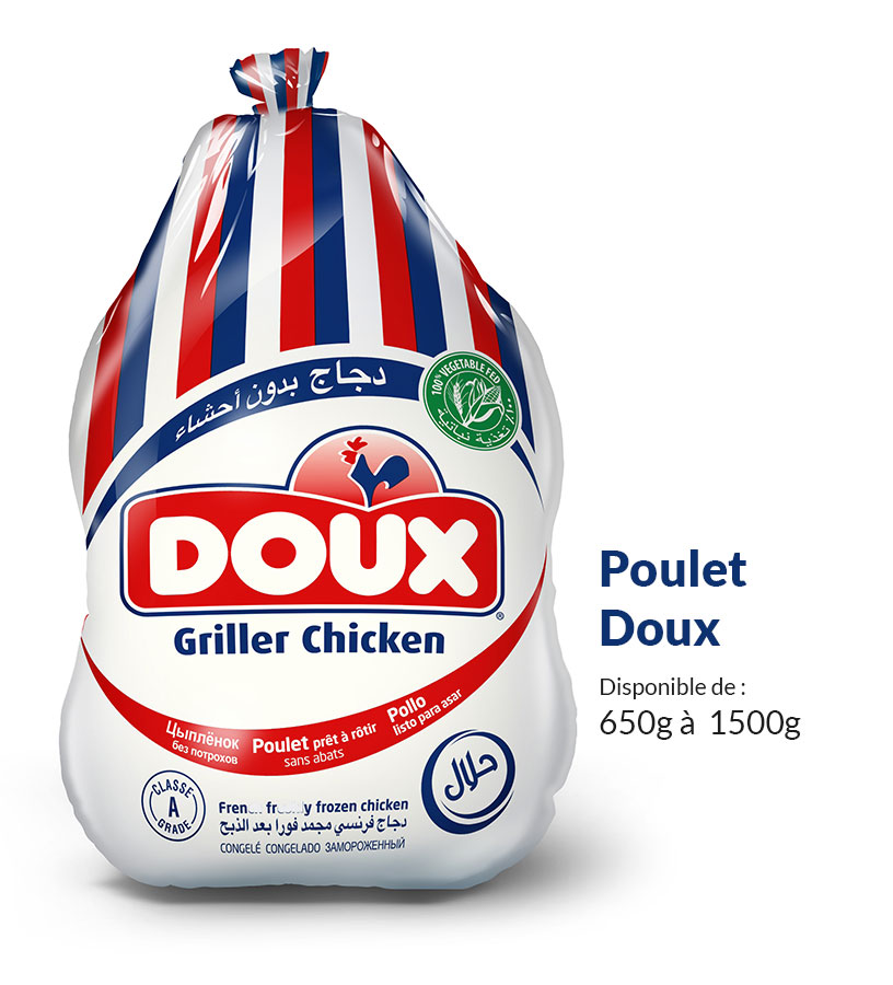 Halal frozen whole Chicken without giblets Suppliers from Bretagne in