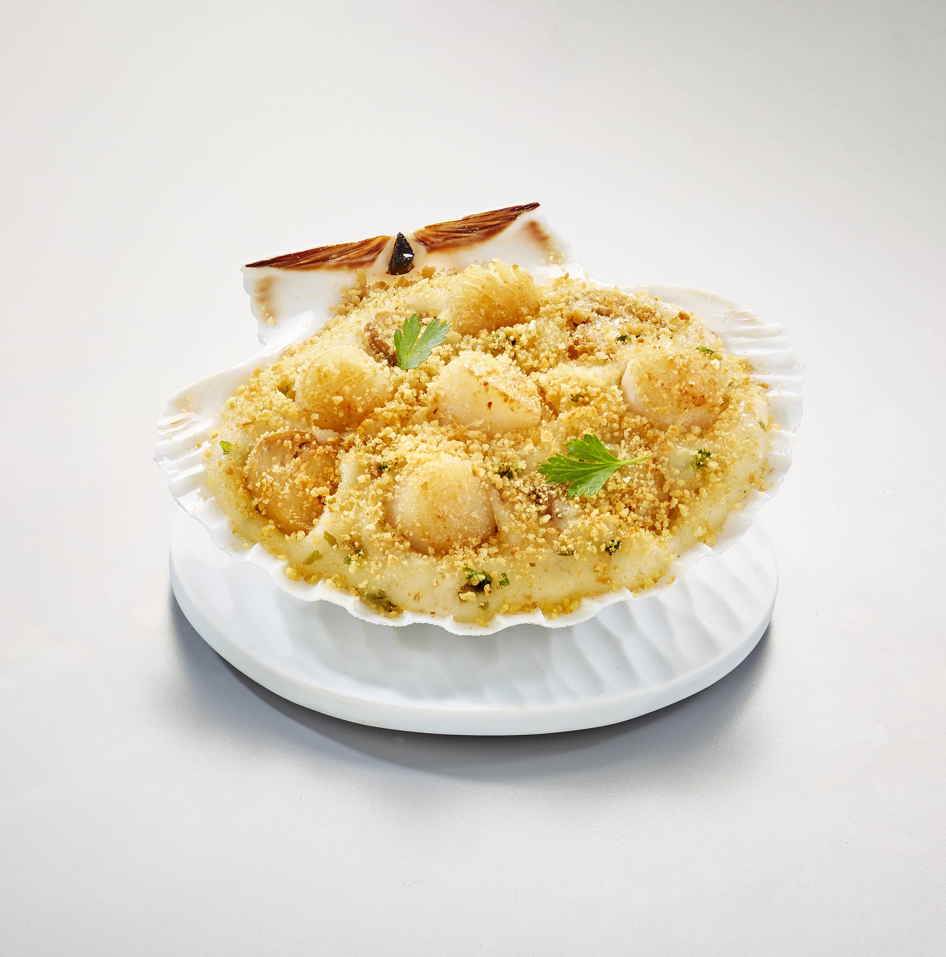 Scallops Suppliers from Bretagne in France