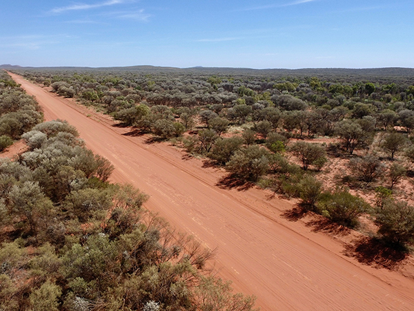 Большая песчаная пустыня пустыня гибсона. Пустыня гибсон в австралии. Заповедник танами дезерт австралия. Пустыня гибсона в австралии. Фото пустыня гибсона в австралии.