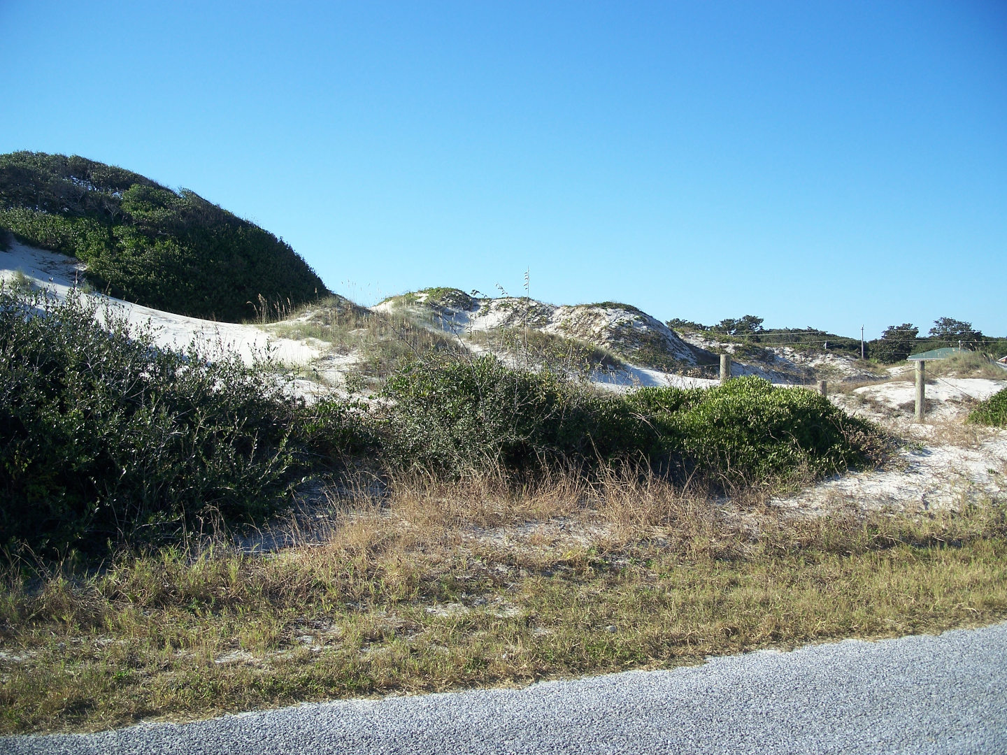 Motorcycle Rides In Jacksonville FL Explore The Best Routes REVER