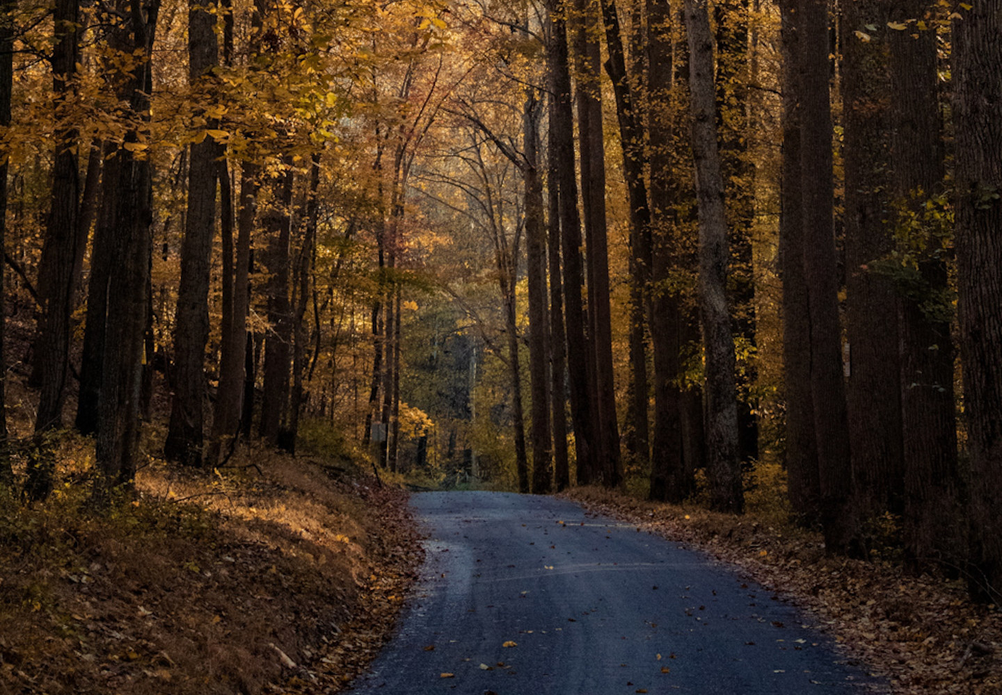 Motorcycle Roads Maryland Reviewmotors.co