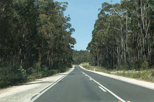 motorcycle tours nsw