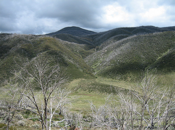 motorcycle tours nsw