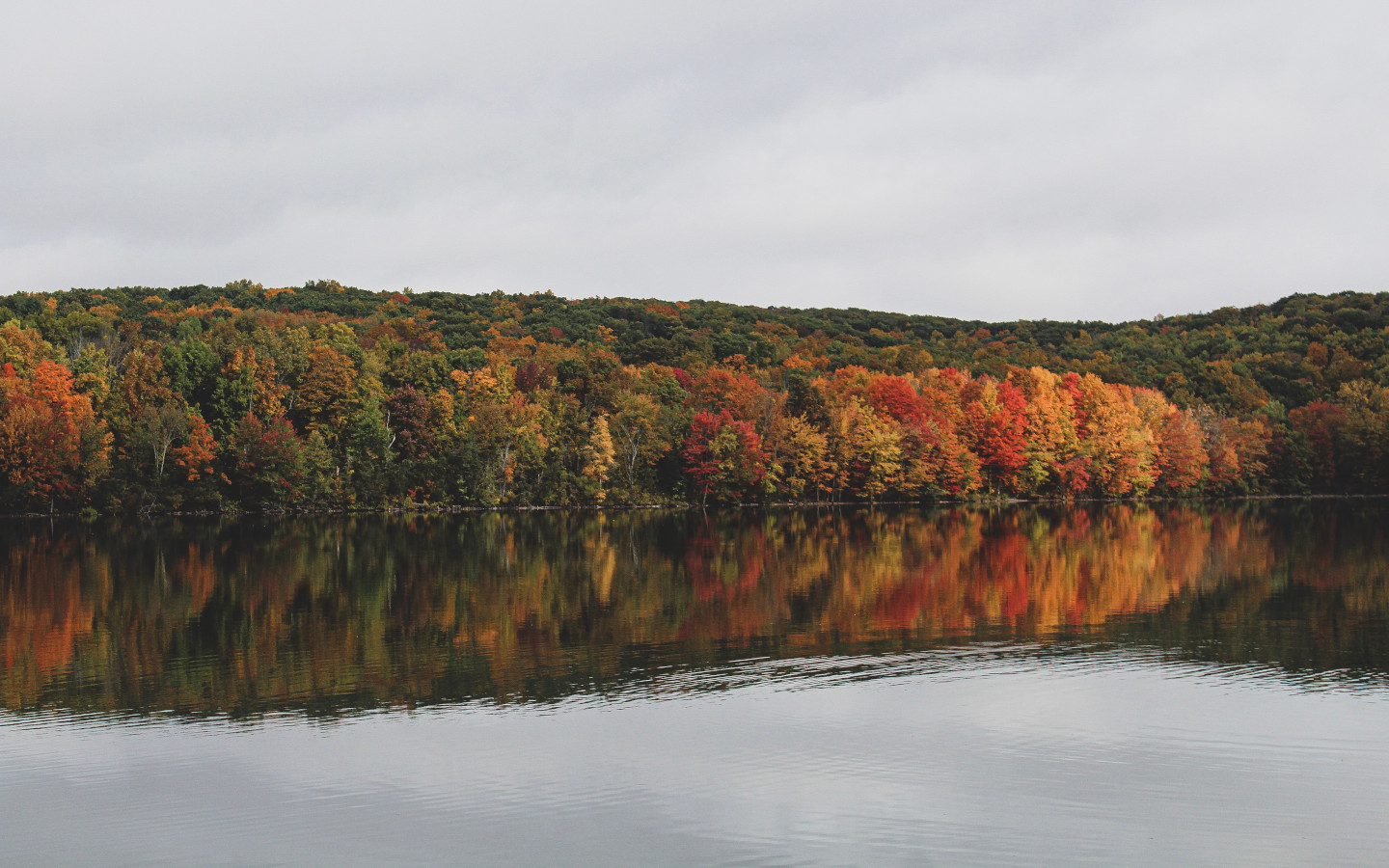 Motorcycle Rides in CT Explore The Best Routes & Roads REVER