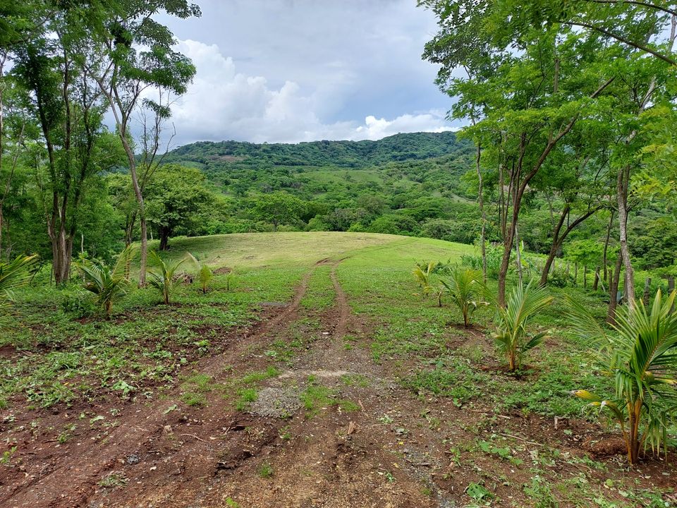 BVN Real Estate San Juan del Sur