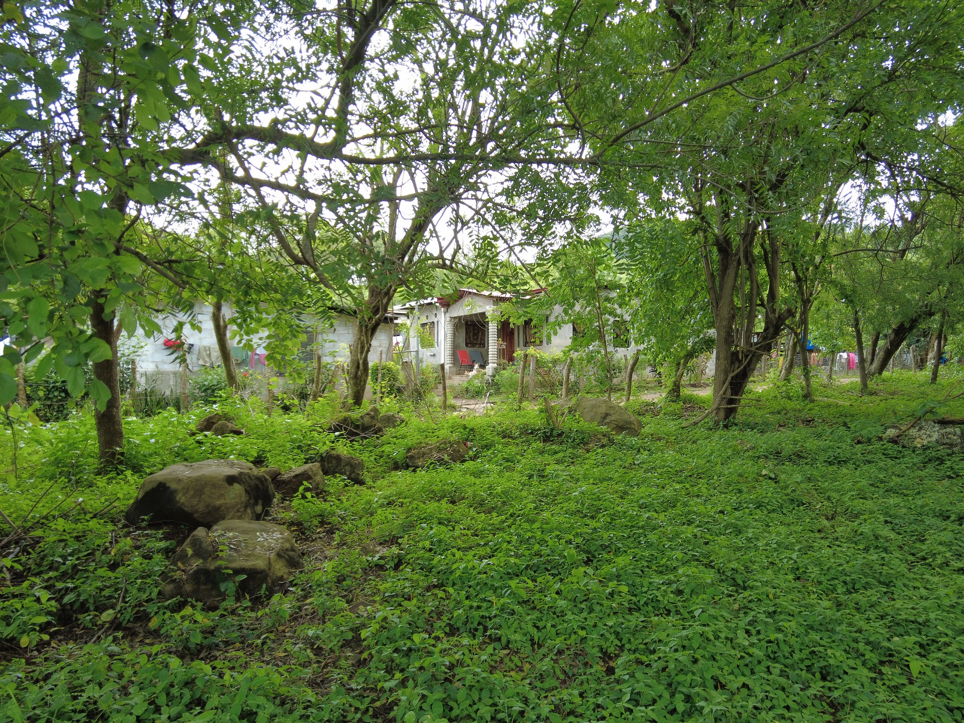 BVN Real Estate San Juan del Sur