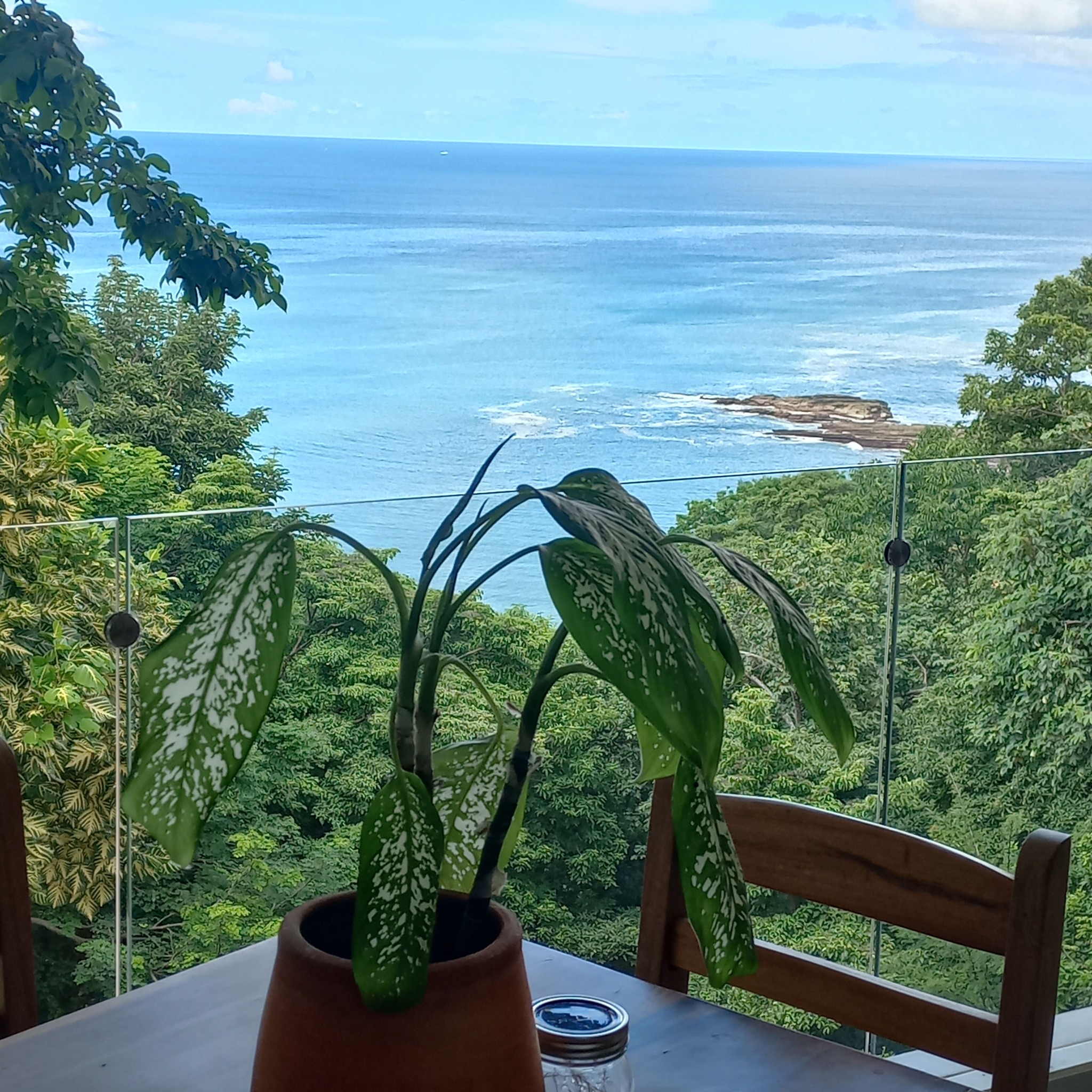 BVN Real Estate San Juan del Sur