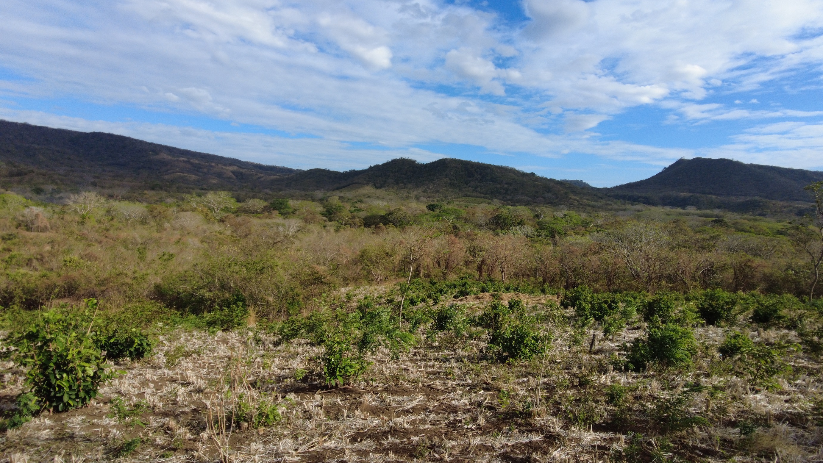 BVN Real Estate San Juan del Sur