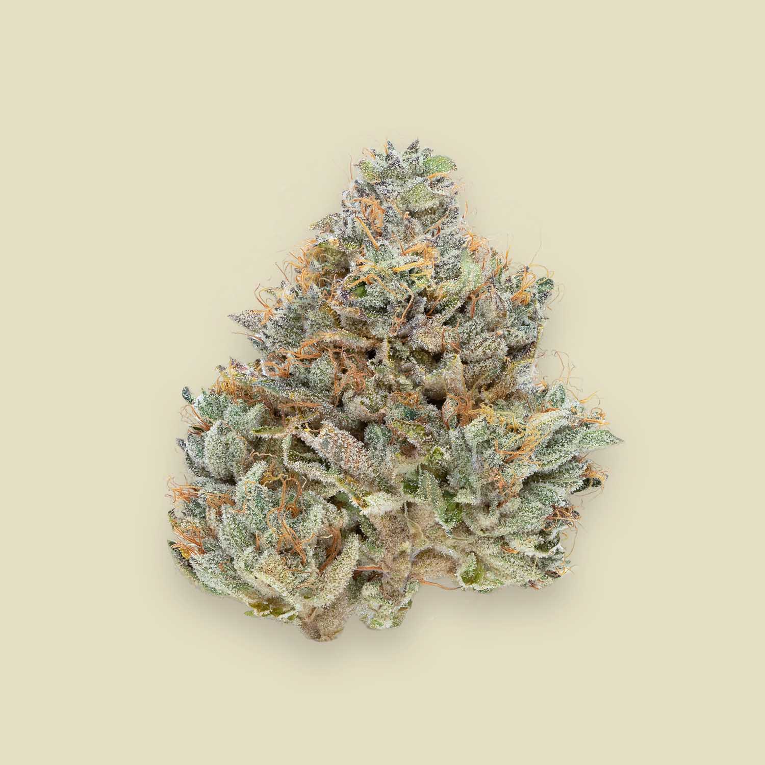 Casino Kush Premium Flower | CANNABIOTIX