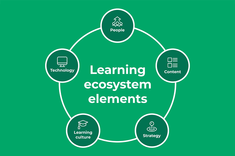 etrainu Blog | Understanding Learning Ecosystems